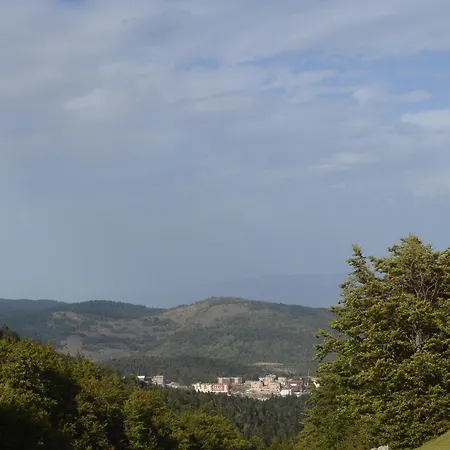 Апартаменты Studio&apartments Snow *